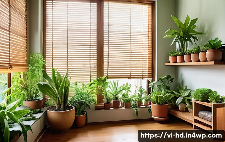 7 mẹo tiết kiệm chi phí và cải thiện chất lượng không khí trong nhà thân thiện với môi trường 4 친환경 주택의 실내 공기 질 향상 관련 이미지 2